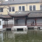 IMG_6461