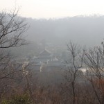 IMG_6508