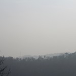 IMG_6510