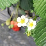 IMG_6983