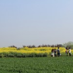 IMG_6986