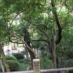 IMG_7360