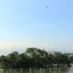 IMG_7399