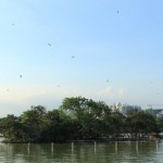IMG_7400
