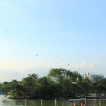 IMG_7401