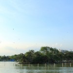 IMG_7402
