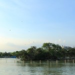 IMG_7403