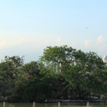 IMG_7404