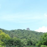 IMG_7421