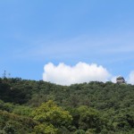 IMG_7423