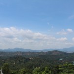 IMG_7446