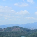 IMG_7452
