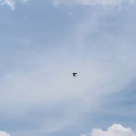 IMG_7504