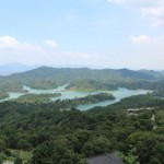 IMG_7516