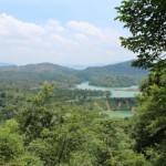 IMG_7560