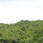 IMG_7579