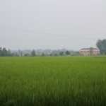 IMG_7647