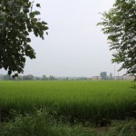 IMG_7648