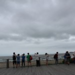 IMG_8026