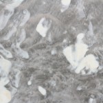 IMG_8088